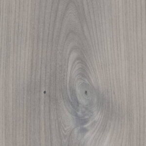 ELM – Coastal Pearl