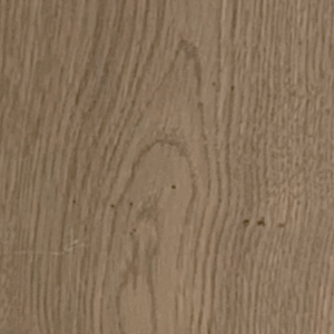 Oak – Ivory Shell