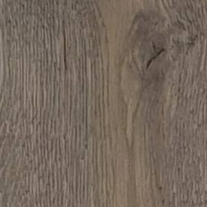 Shrunk Oak – Karakoram