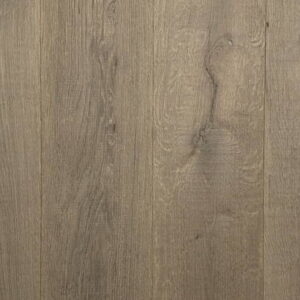 Shrunk Oak – Kilimanjaro