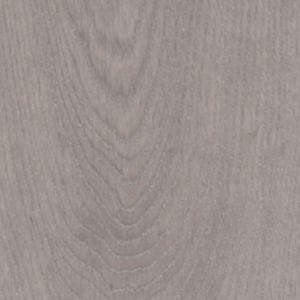 Oak – Radiant Glow