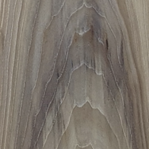 ELM – Silver Stream