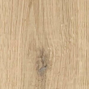 Shrunk Oak – Zion