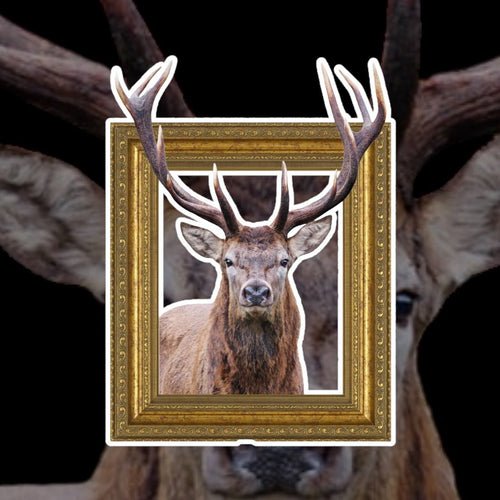 Monsieur George – Our Retired Market Trader