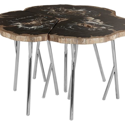 Ramioli Dark Petrified Wood Coffee Table