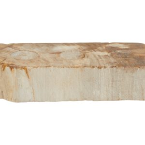 Ramioli Petrified Wood 3 Tealight Holder