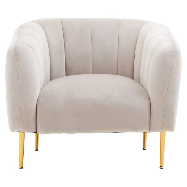 Ylenia Silver Grey Velvet Armchair