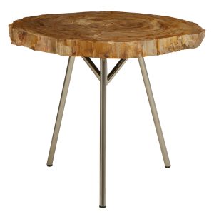 Ramioli Medium Petrified Wood Side Table