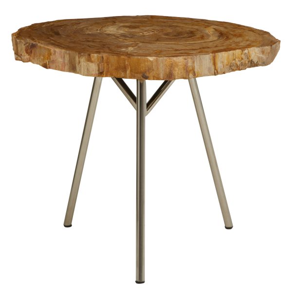 Ramioli Medium Petrified Wood Side Table