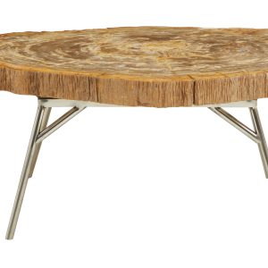 Ramioli Petrified Wood Coffee Table