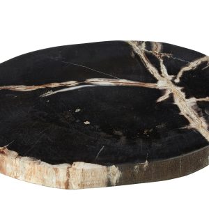 Ramioli Petrified Wood Serving Board