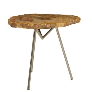 Ramioli  Large Petrified Wood Side Table