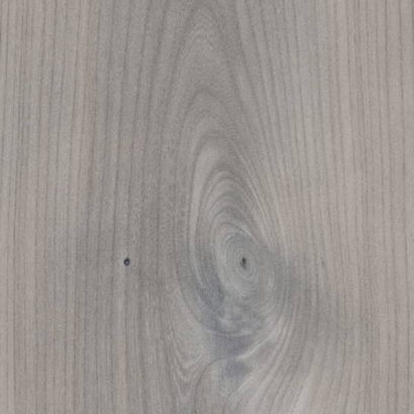 Coastal Pearl (3)