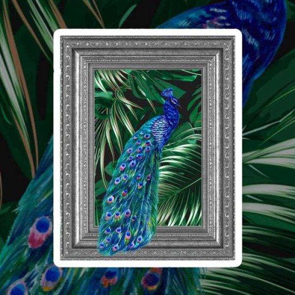 peacock-delight-by-yardart-303266.jpg