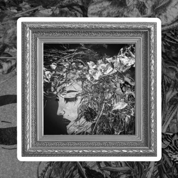 titania-by-charlotte-clemence-special-edition-759280.jpg